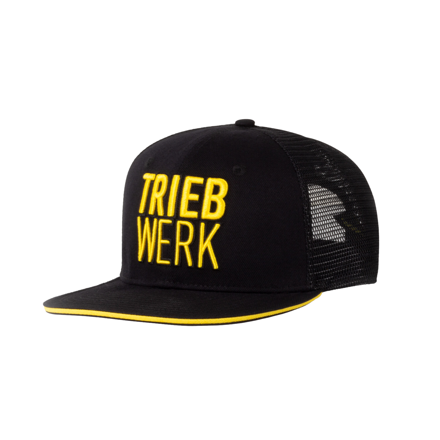 TRIEBWERK Curved Snapback