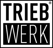 TRIEBWERK Energy / Innovative Energy Produkte/ Energy Shots, Kaugummi logo